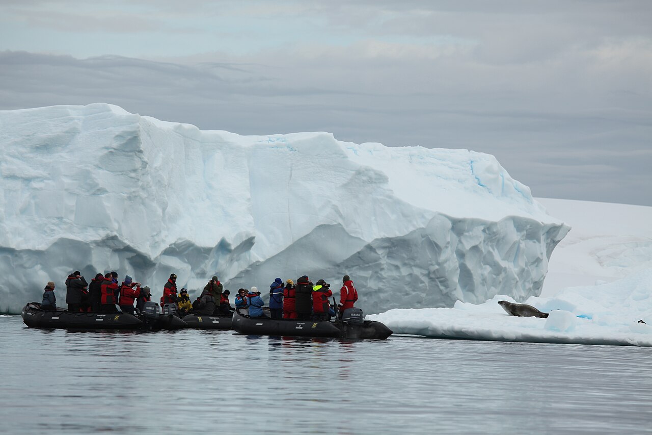 Photographers in a Zodiac raising cameras toward a seal hauled out on ice in Pléneau Bay, Antarctica